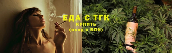 соль ск Дмитриев