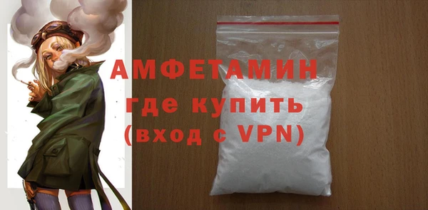 соль ск Дмитриев