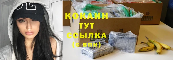 соль ск Дмитриев