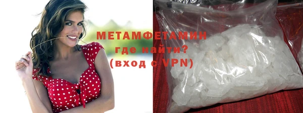 прущие грибы Дмитровск