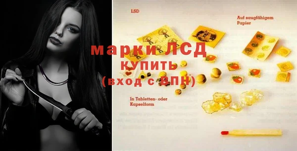 соль ск Дмитриев