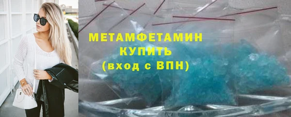 прущие грибы Дмитровск