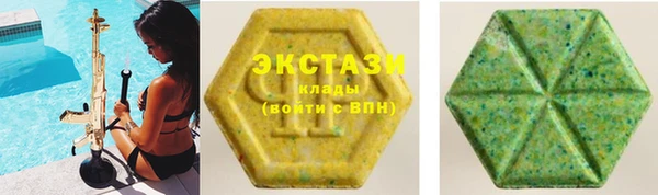 соль ск Дмитриев