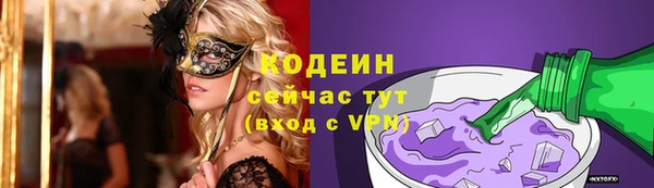 соль ск Дмитриев