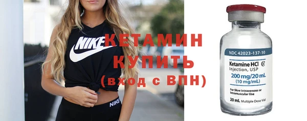 прущие грибы Дмитровск