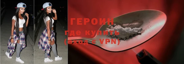 соль ск Дмитриев