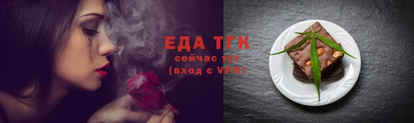 соль ск Дмитриев
