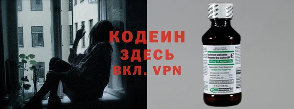 прущие грибы Дмитровск