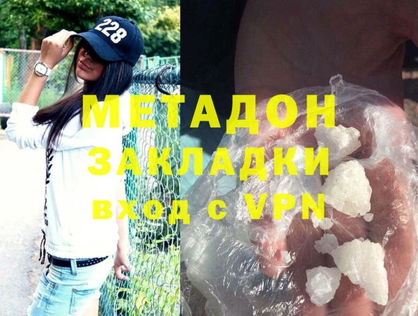 прущие грибы Дмитровск