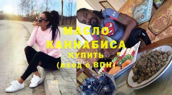 соль ск Дмитриев